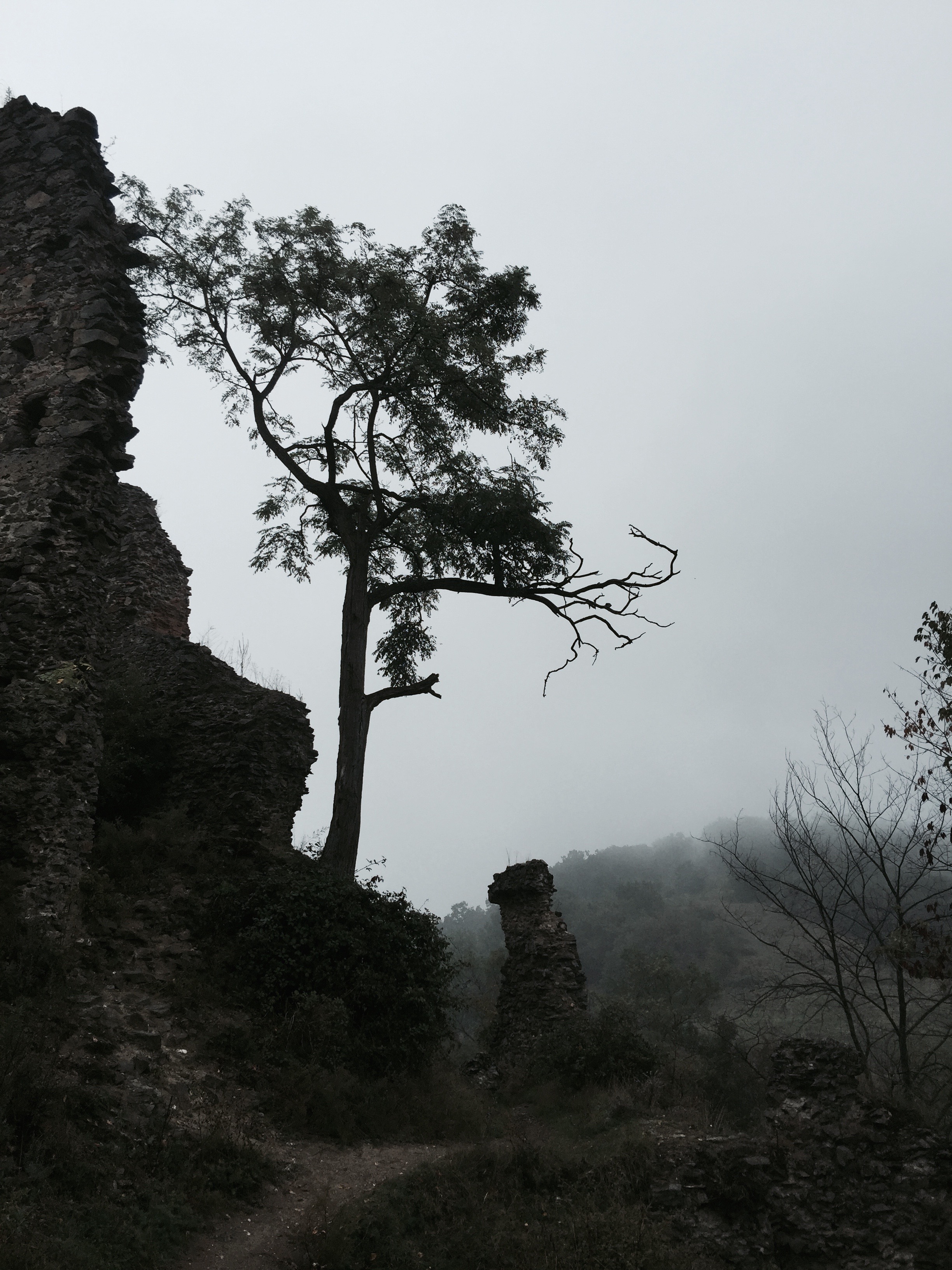 Soimos – Lipova