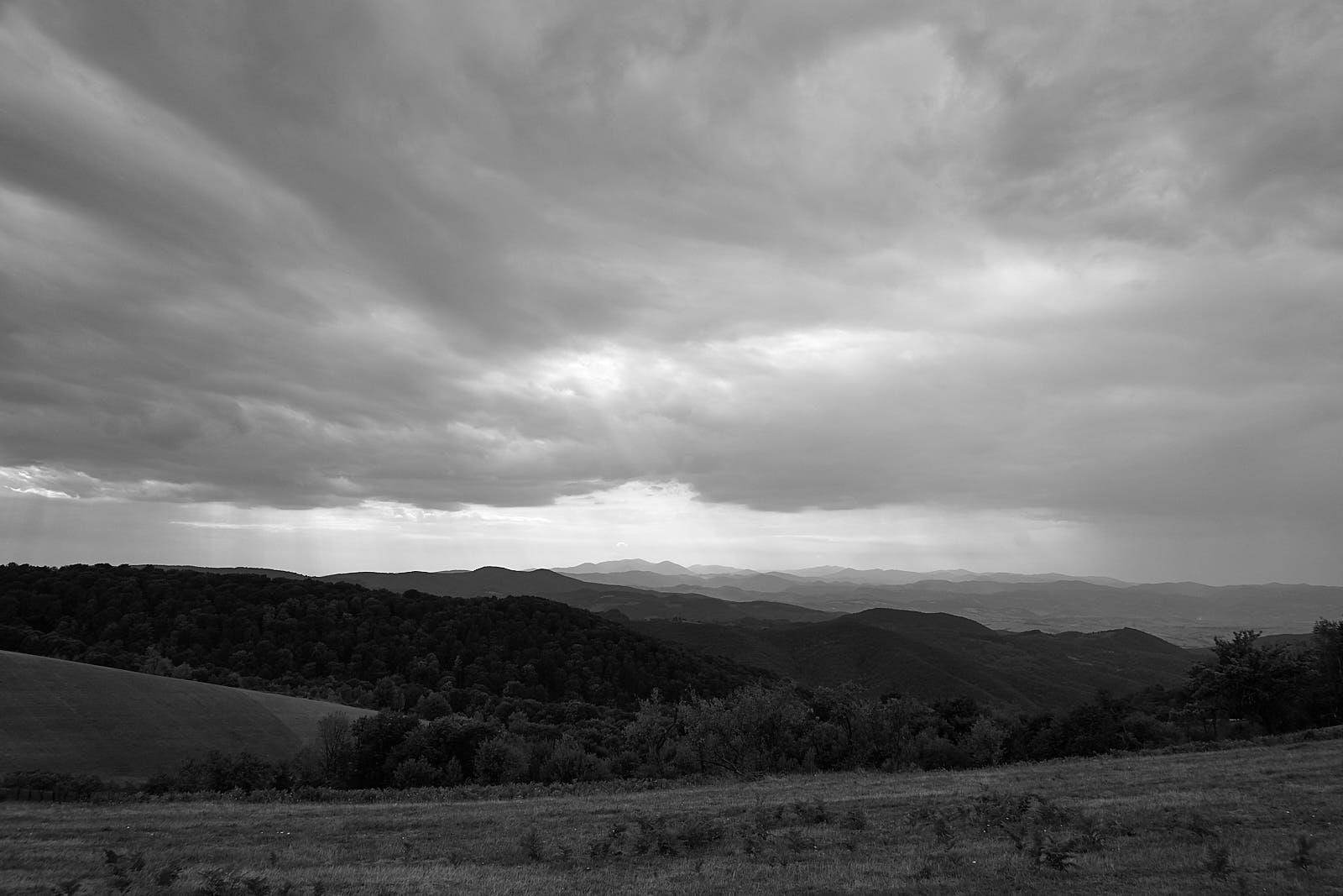 DSC02907