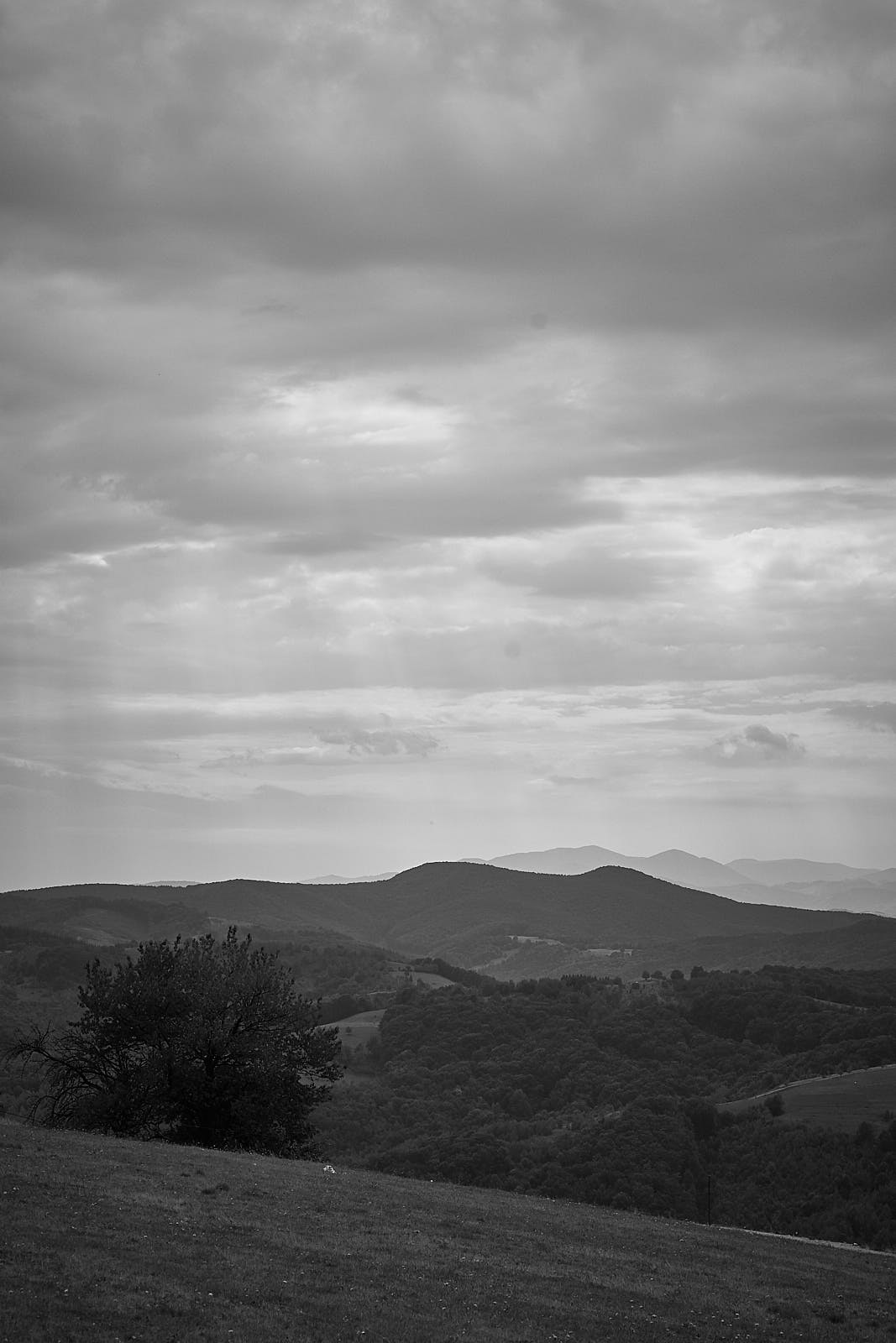 DSC02916